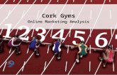 Online Marketing Analysis For Gyms In Cork