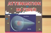 Attenuation in fiber