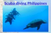 Scuba diving philippines
