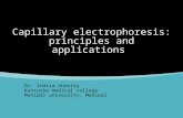 Capillary electrophoresis principles and applications