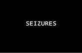 2015 seizures ppt