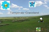 Temperate Grassland Makayla
