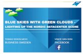 Blue Skies with Green Clouds - Business Sweden + Facebook, Nov 19
