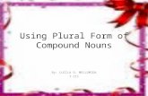 Plural form of compound nouns