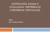 OSTEOLOGI AXIAL II.new