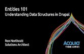 Entities 101: Understanding Data Structures in Drupal