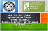 Options for global agricultural trade after Nairobi: Global solutions or national actions?