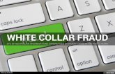 White Collar Fraud - How to protect your company from economic crime