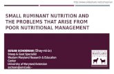 Small ruminant nutrition and the problems that arise from poor nutritional management