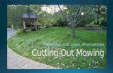 Cutting Out Mowing