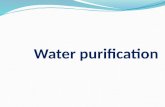 Purification anf disinfection of watert