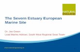 2012 07 The Severn Estuary European Marine Site  Dr. Joe Green, Natural England