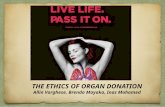 Ethics of Organ donation ppt