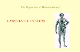 Anatomy 15-Lymphatic-system