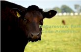 Natureview Farm analysis