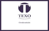 Texo Consulting Creds