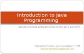 Manuel - SPR - Intro to Java Language_2016