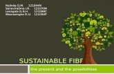 Sustainable Textile Fibres - The present and the possibilities