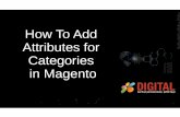 How To Add Attributes for Categories in Magento