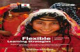 Flexible learning strategies: country case report