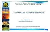 low rank coal utilization in indonesia