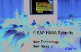 SAP HANA Security: New Technology, New Risks