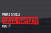 What Does a Data Breach Cost?