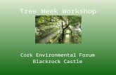 Tree Week Workshop