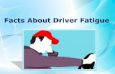 Facts About Driver Fatigue