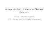 Interpretation of x ray in disease process