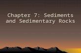 Sedimentary Rocks/EPCC/LM5 B