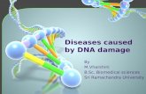 Diseases caused by dna damage