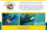Underwater inspection in Dubai