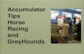 Accumulator Tips Horse Racing and GreyHounds p