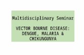 Dengue Chikukunya & Malaria in the viewpoint of Medicine Paediatric & Obstetrics