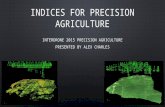 Indices for Precision Agriculture