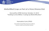 Biofortified Crops as Part of a More Diverse Diet