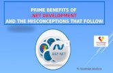 Advantages and myths surrounding dot net development