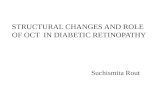 Structural and oct changes in diabetic retinopathy1