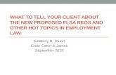 CLE -- FIRM CLE SEPTEMBER 2015 FLSA AND HOT TOPICS