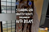 Climbing Gym Industry Secrets Explained by Auto Belays