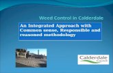 Weed Control in Calderdale