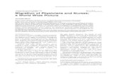 Reproduced by permission of the International Journal of ...