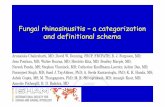 Fungal rhinosinusitis – a categorization and definitional schema