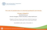 The role of paludiculture in drained peatlands and climate change mitigation 