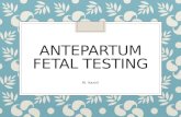 Antepartum fetal testing