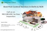 Get 10% OFF on pest control and termite treatment in Noida, Faridabad, Ghaziabad, Gurgaon,Indirapuram and Dwarka-Contact Godrej Pest Control 9811381458