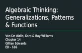 Algebraic thinking:  generalizations, patterns and functions