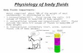 General physiology - regulation of ECF