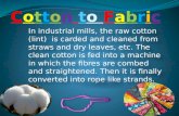 Cotton to fabric